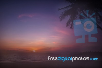 Sunrise With Coconut Palm Trees On Tropical Beach Background Stock Photo