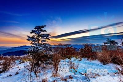 Sunrise With Silhouettes Of Trees At Deogyusan Mountains In Winter,south Korea Stock Photo