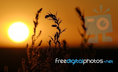 Sunset Stock Photo