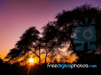 Sunset Stock Photo