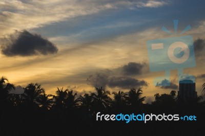 Sunset Behind Silhouettes Of Palm Trees And Buildings Stock Photo