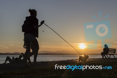 Sunset Dog Walk Stock Photo