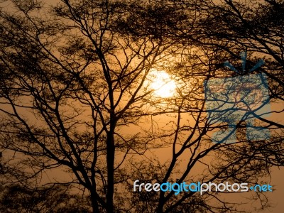 Sunset In Africa Stock Photo