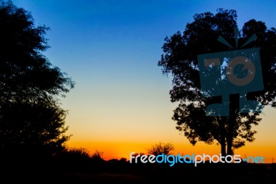 Sunset In Africa Stock Photo