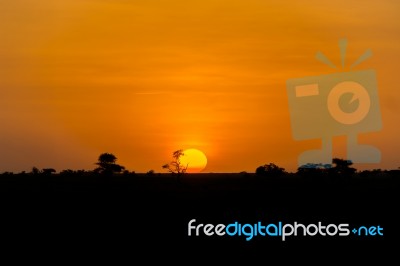 Sunset In Tanzania Stock Photo