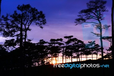 Sunset In The Mountains At Phu Soi Dao Stock Photo