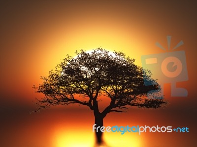 Sunset Landscape Stock Image