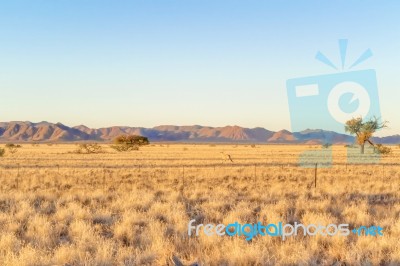 Sunset Landscape In Namibia Stock Photo