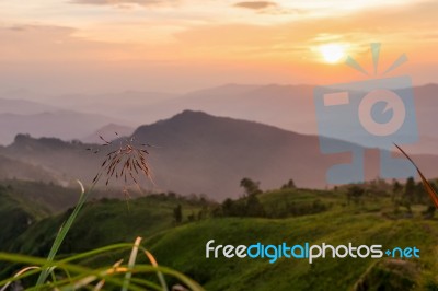 Sunset On Phu Chi Fa Forest Park Stock Photo