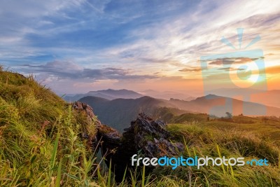 Sunset On Phu Chi Fa Forest Park, Thailand Stock Photo