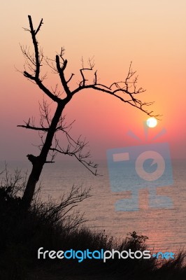 Sunset On The California Coast Stock Photo