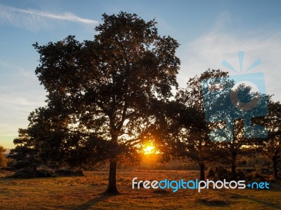 Sunset Over The Ashdown Forest In Sussex Stock Photo