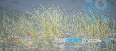 Sunshine Beach At Noosa, Sunshine Coast Stock Photo