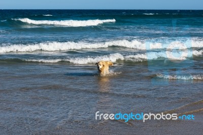 Sunshine Beach At Noosa, Sunshine Coast Stock Photo