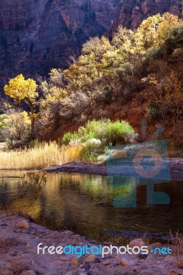 Sunshine Illuminating The Banks Of The Virgin River Stock Photo