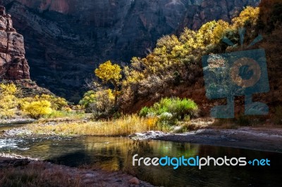 Sunshine Illuminating The Banks Of The Virgin River Stock Photo