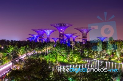 Super Tree In Garden By The Bay, Singapore Night Cityscape Stock Photo