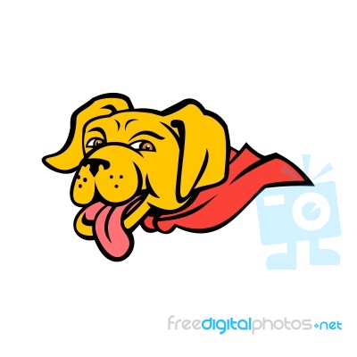 Super Yellow Labrador Retriever Wearing Cape Mascot Stock Image