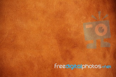 Surface Of Leather Stock Photo