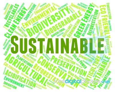 Sustainable Word Indicates Conservation Words And Ecological Stock Image