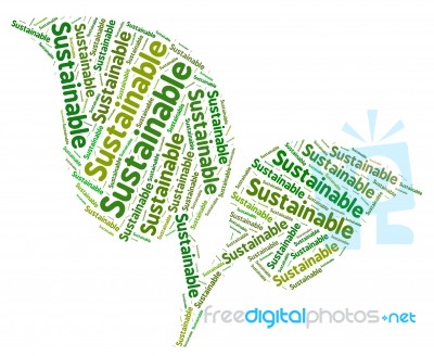 Sustainable Word Indicates Conserving Words And Ecological Stock Image