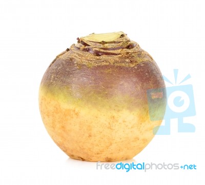 Swede Isolated On White Background Stock Photo