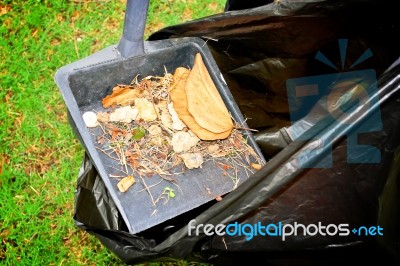 Sweeping And Leaves Stock Photo