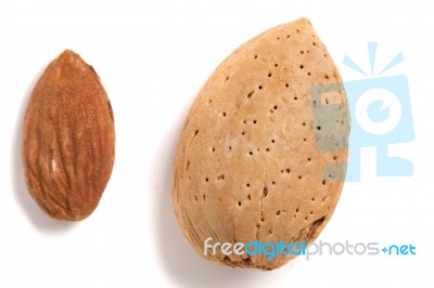 Sweet Almond And Seed Stock Photo