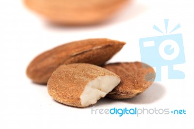 Sweet Almond Drupes Stock Photo