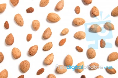 Sweet Almond Drupes Stock Photo