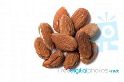 Sweet Almond Drupes Stock Photo