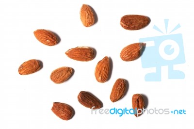 Sweet Almond Drupes Stock Photo