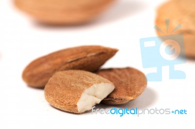 Sweet Almond Drupes Stock Photo