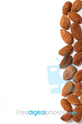 Sweet Almond Drupes Stock Photo