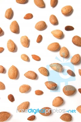 Sweet Almond Drupes Stock Photo