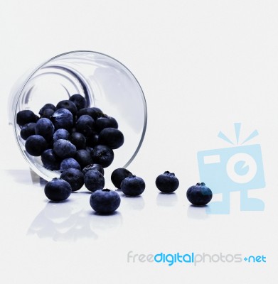 Sweet Blueberry Stock Photo