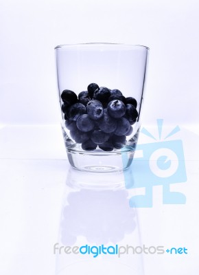 Sweet Blueberry Stock Photo