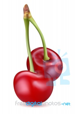 Sweet Cherries Stock Image