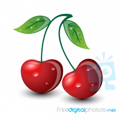 Sweet Cherry Stock Image