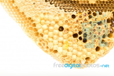 Sweet Honeycombs With Honey, Isolated On White Stock Photo