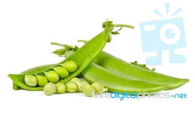 Sweet Pea Isolated On The White Background Stock Photo