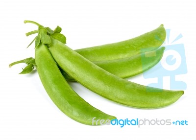 Sweet Pea Isolated On The White Background Stock Photo