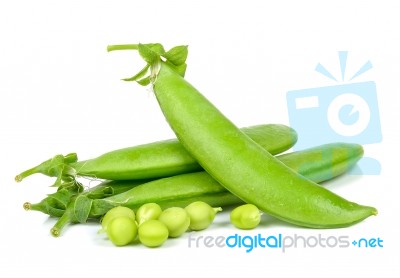 Sweet Pea Isolated On The White Background Stock Photo