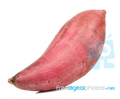 Sweet Potato Isolated On The White Background Stock Photo