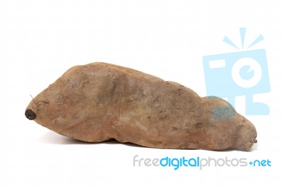 Sweet Potato On White Background Stock Photo