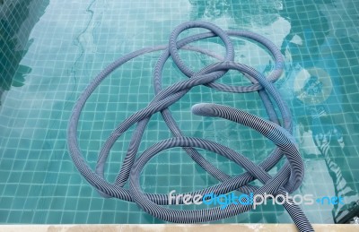 Swimming Pool Vacuum Hose Stock Photo