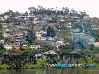 Sydney Harbor Stock Photo