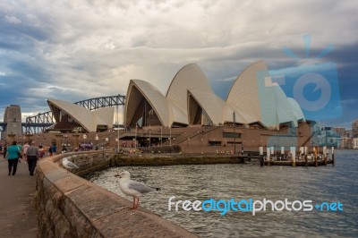 Sydney Opera House View From Botanic Garden With Harbour Bridge Stock Photo