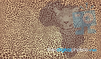 Symbol Africa In Jaguar Camouflage Stock Image