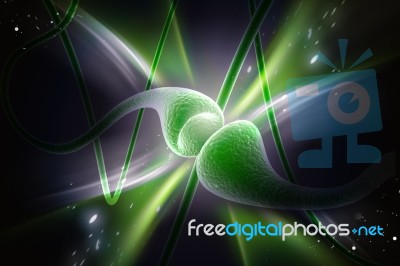 Synapse Stock Image